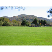 "test