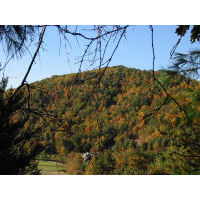 "test